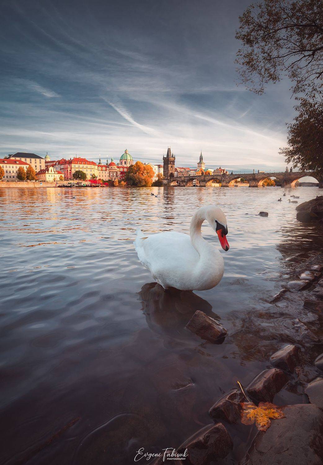 , Evgeni Fabis