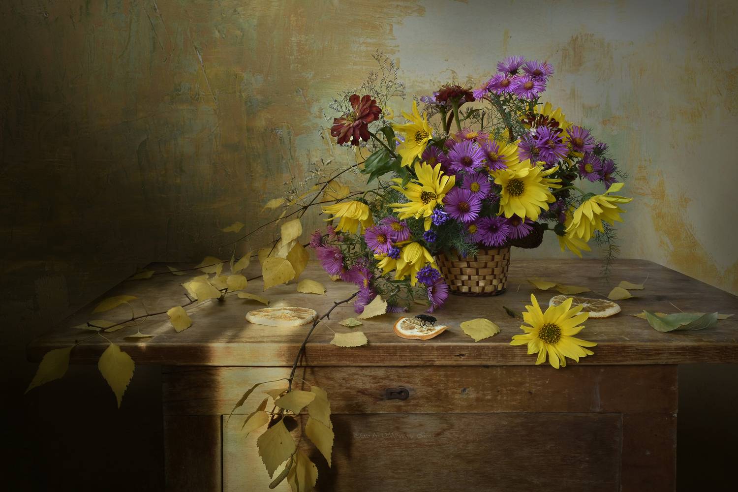 , Шипунова Ирина