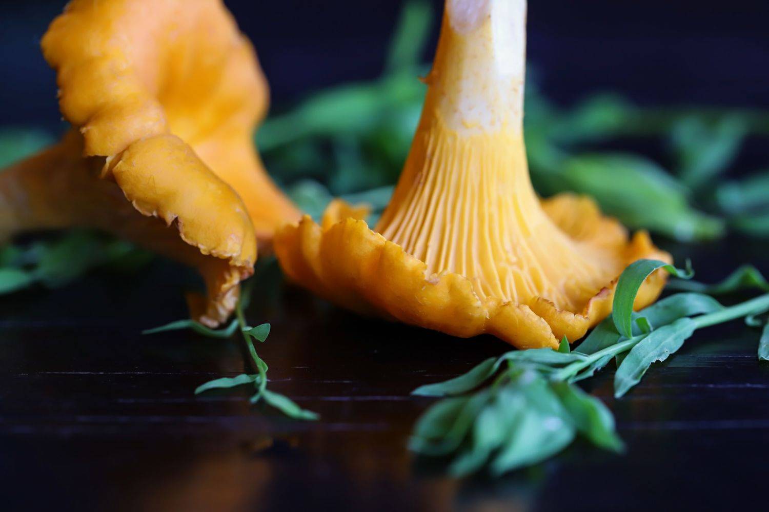 yellow mushrooms, forest, nature plants close-up, macro, DZINTRA REGINA JANSONE