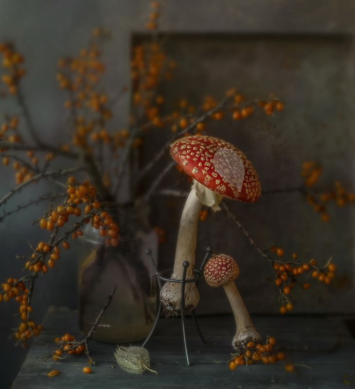 7-я* фото превью