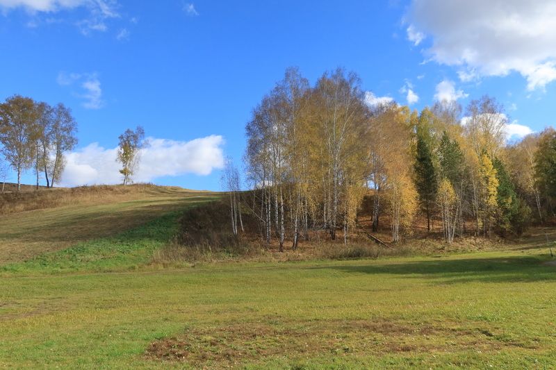 осень,природа,нсо,кольцово,деревья,пригорок,небо,облака На пригорке фото превью