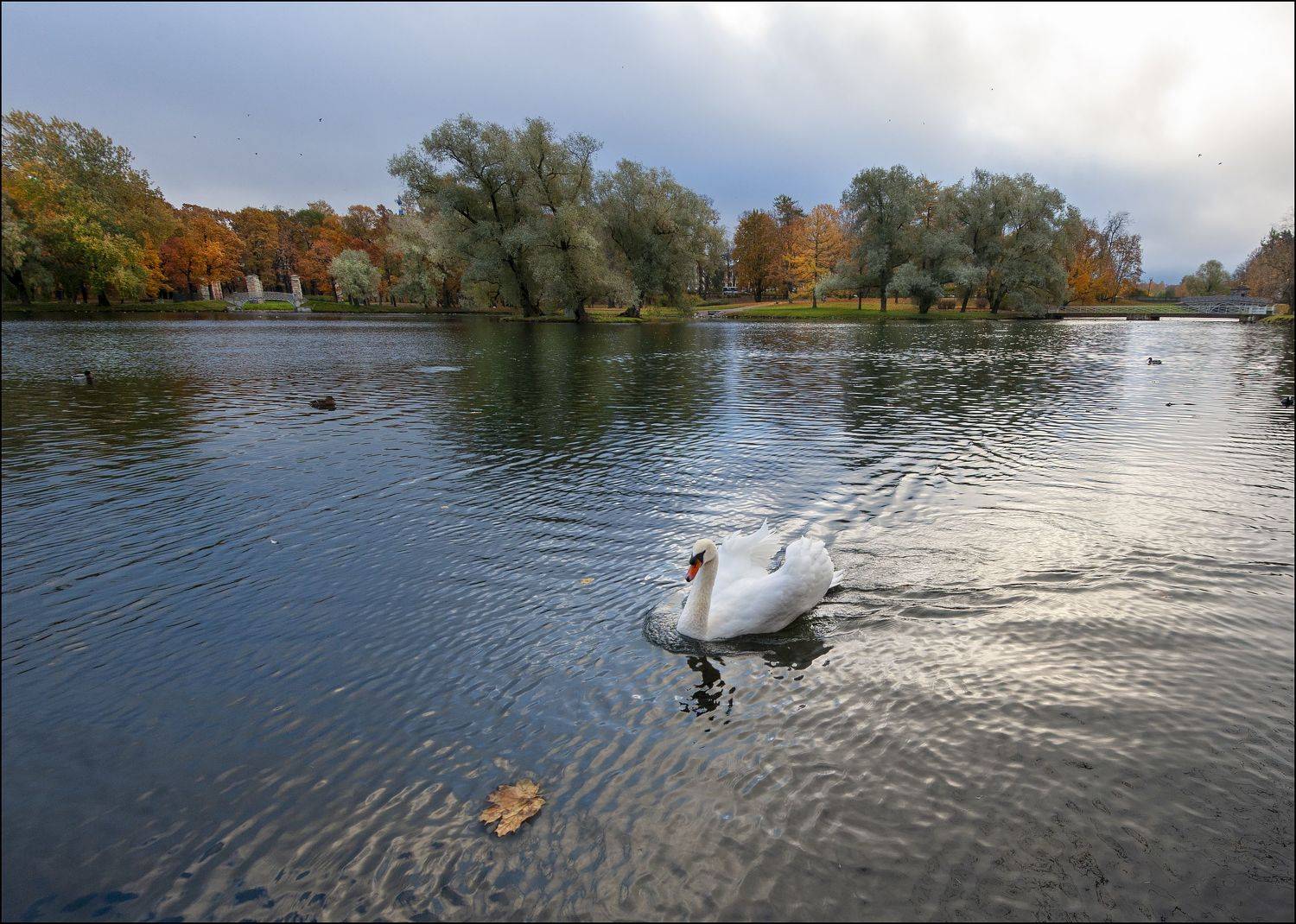 гатчина, Георгий Сапожников