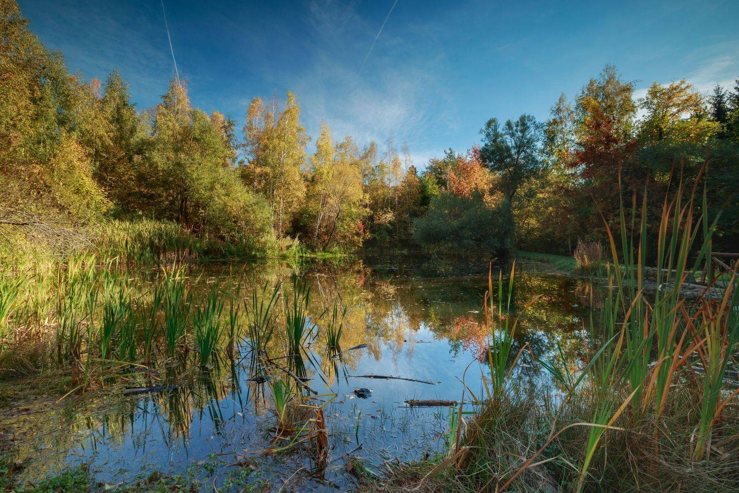 , Александър Сандев