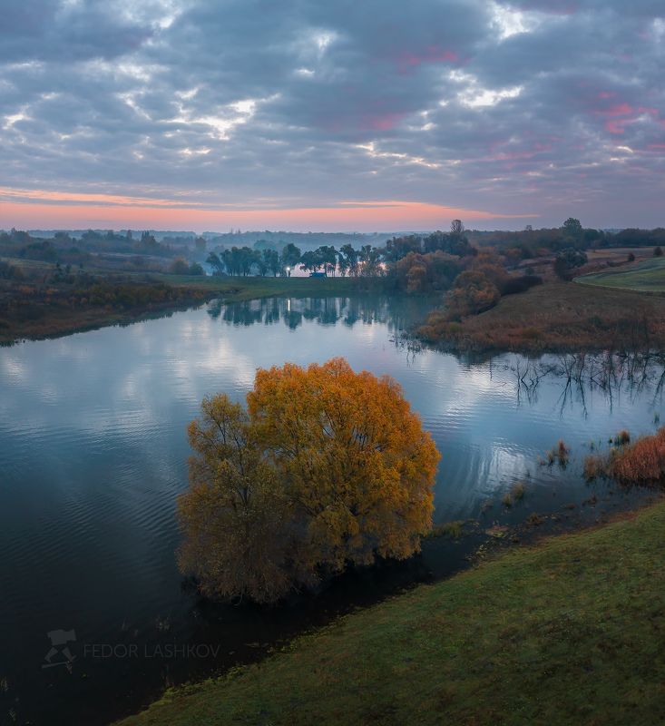 белгородская область, осень, осенний, рассвет, облака, заря, облачно, тучи, акварель, розовый, золотой, синий, пруд, водоём, река псёл, ива, дерево, на берегу, одно дерево, Ива на пруду фото превью