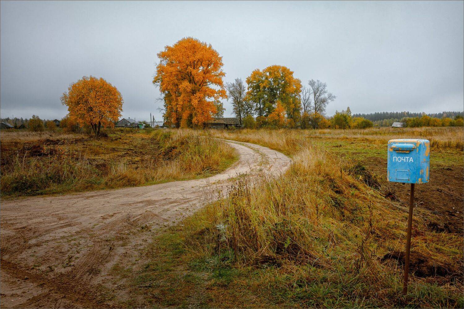 пейзаж, деревня, осень, свет, цвет, александр никитинский, Никитинский Александр