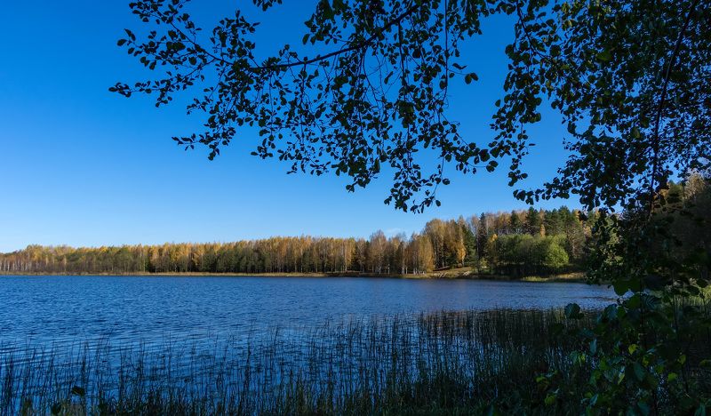 Озеро Светлояр фото превью