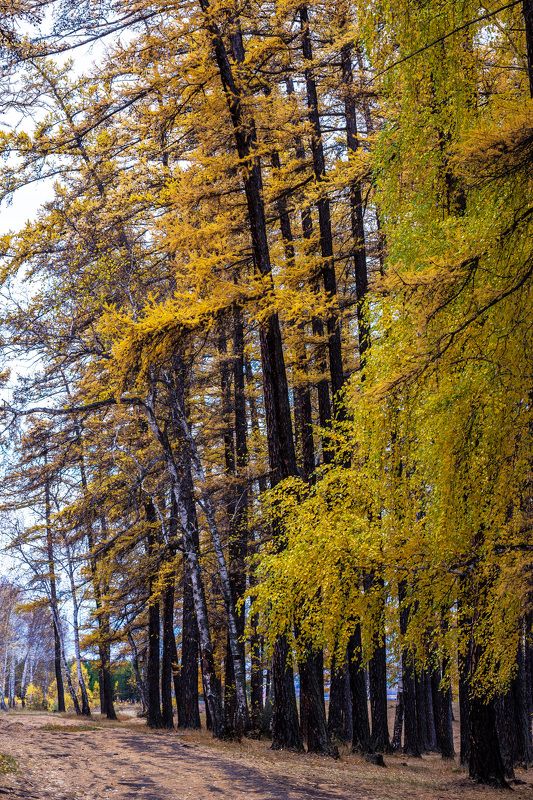 ******* фото превью