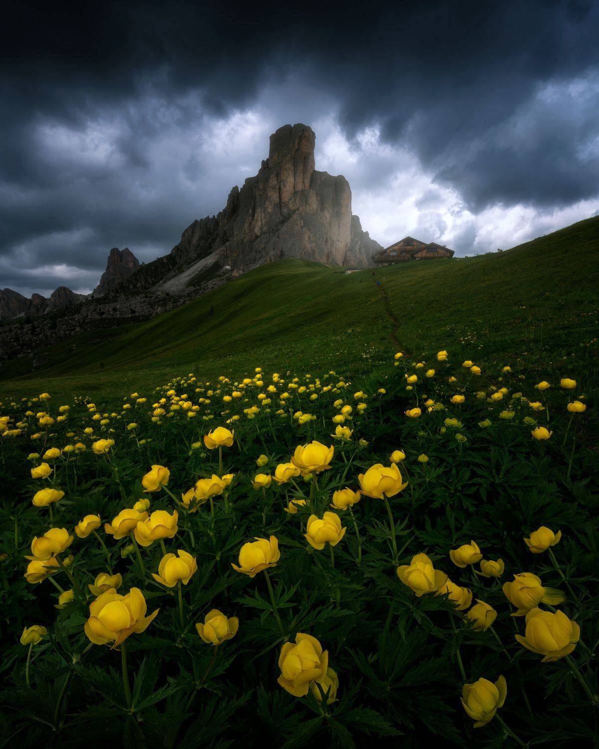 , Thomas de Franzoni