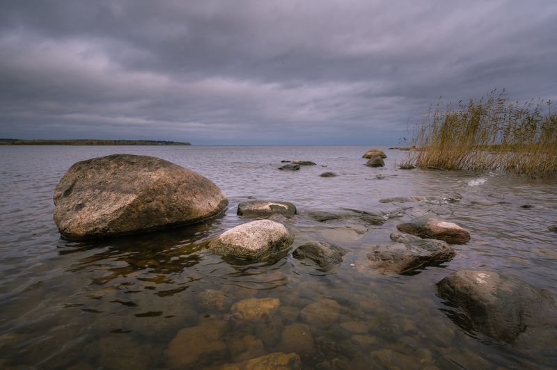 ладога На берегу Ладоги в пасмурное утро. фото превью