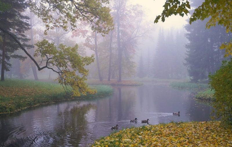 Morning in October фото превью