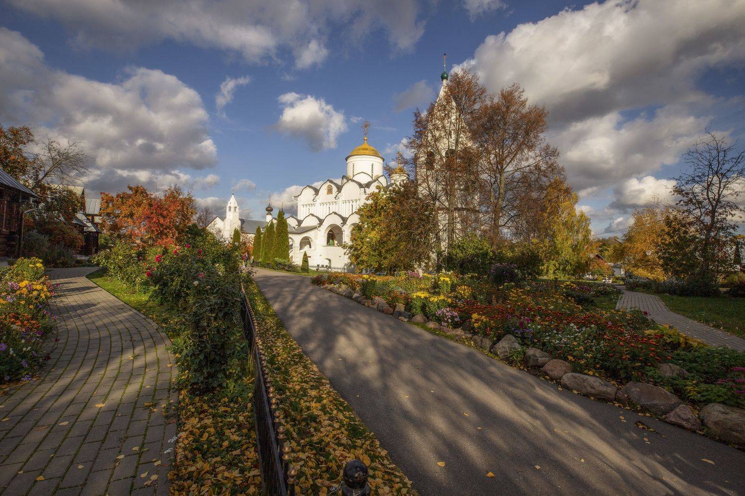 владимирская область, Гусева Елена