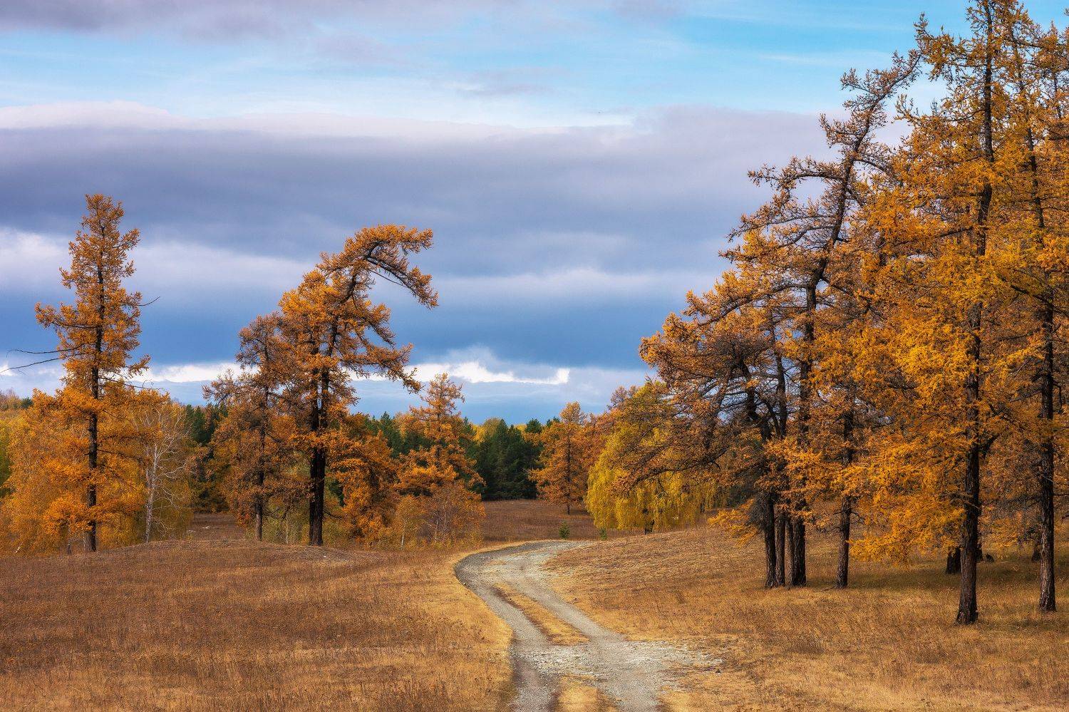 , Андрей Шарапов