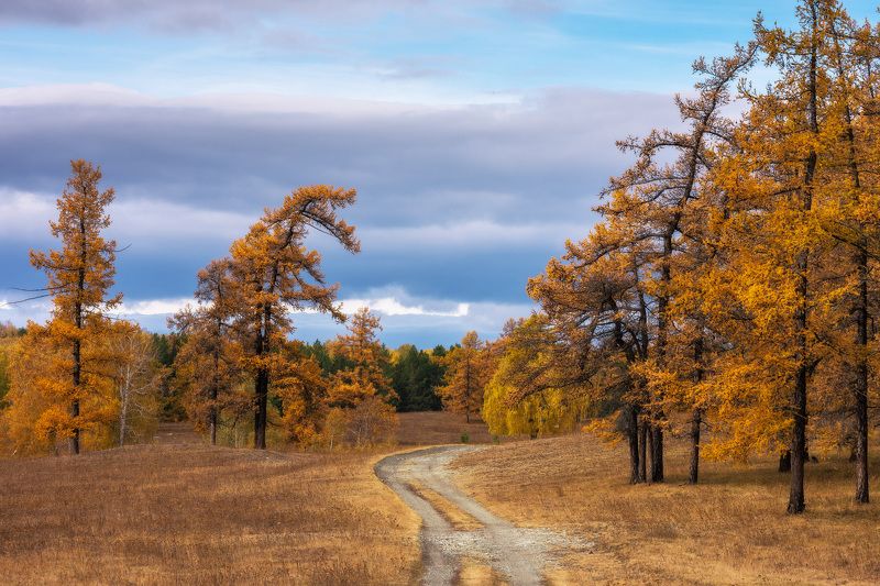 ******* фото превью