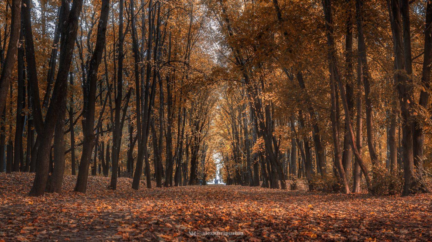 пейзаж, Хрипушин Александр