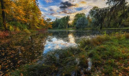 Краски осени