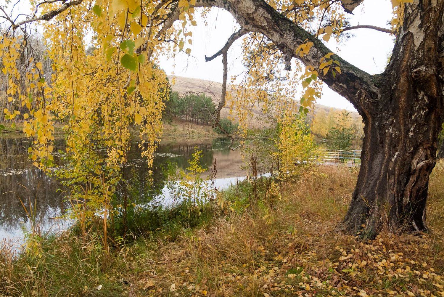 , Шустиков Дмитрий