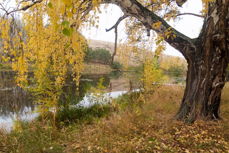 пруд Майорка имения ген. Приданникова фото превью