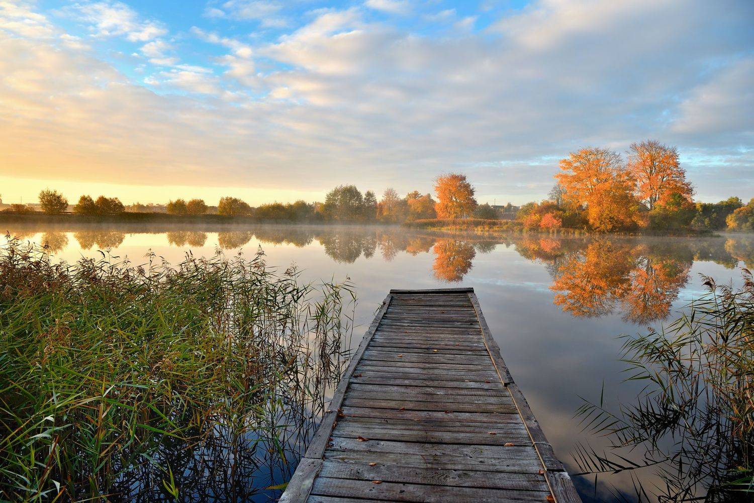 , Руслан Авдевич
