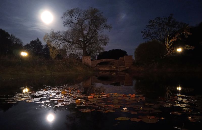 Лунная ночь. фото превью