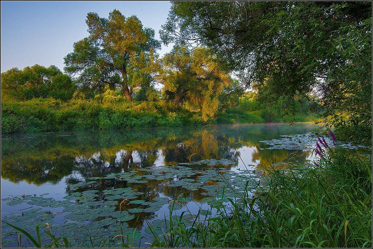 калужская обл. р. протва, утро, АНАТОЛИЙ ДОВЫДЕНКО