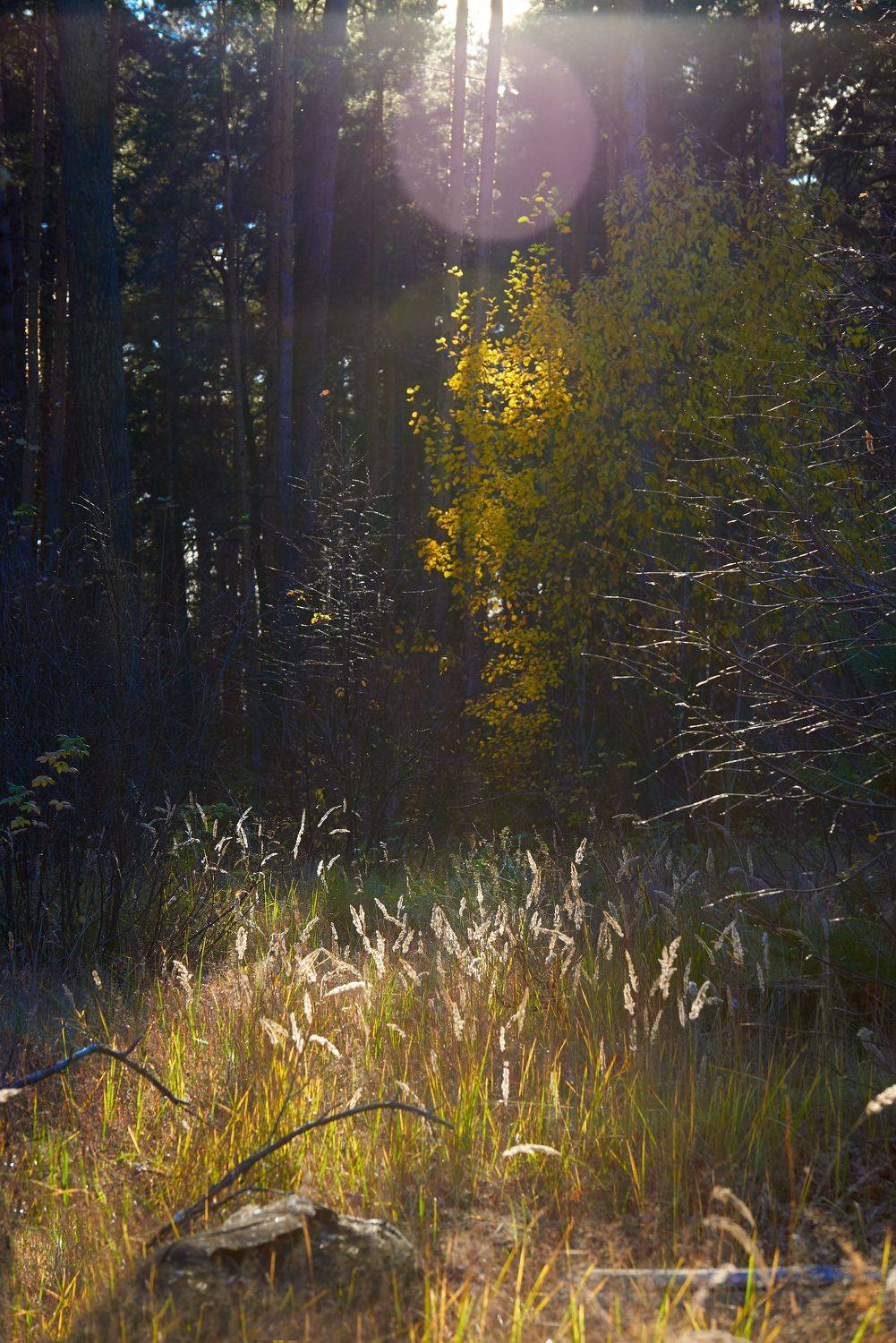 , Владимир Краснов