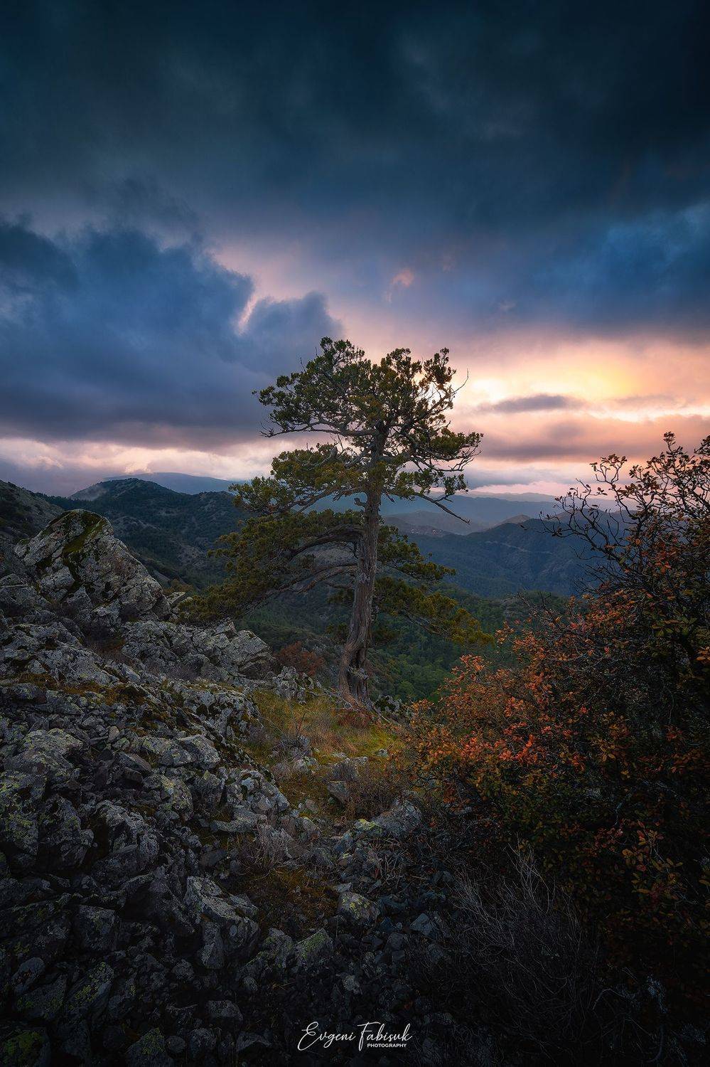 , Evgeni Fabis