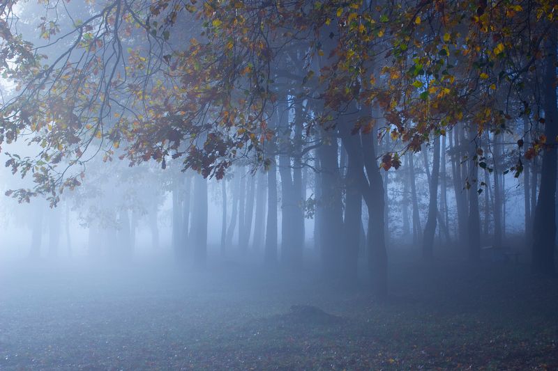 ******** фото превью