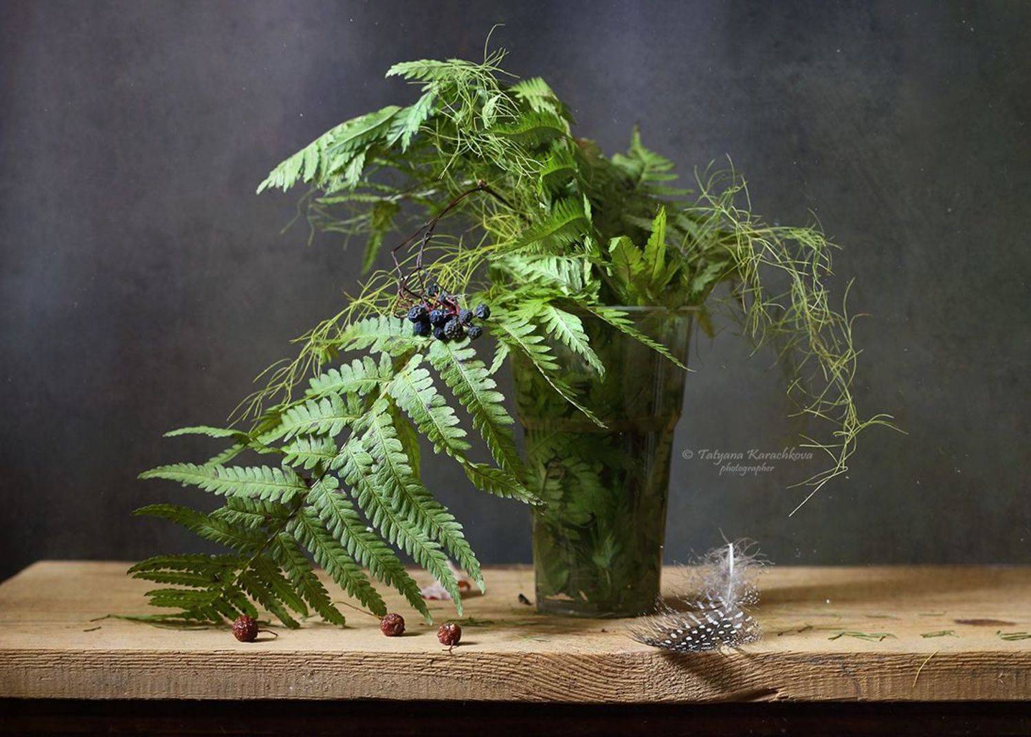 натюрморт, папоротник,зеленый, Tatyana Karachkova