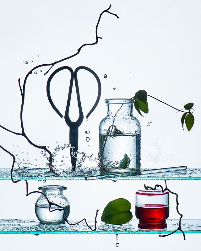 фото превью