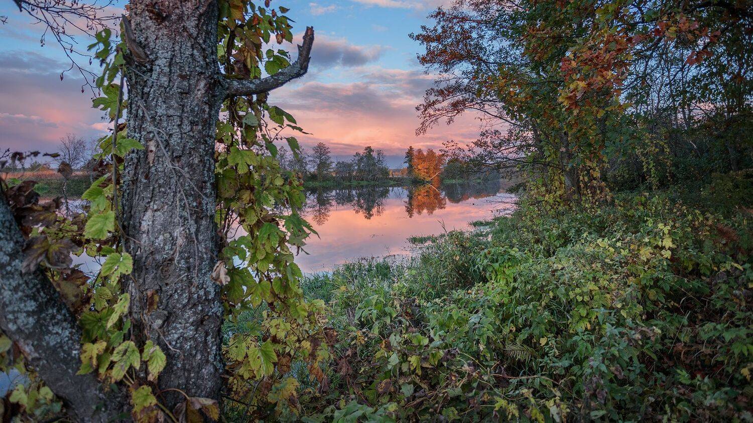, Андреев Николай