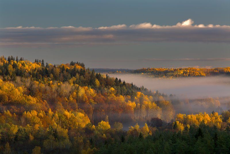 Gauja Autumn in the Gauja valley фото превью
