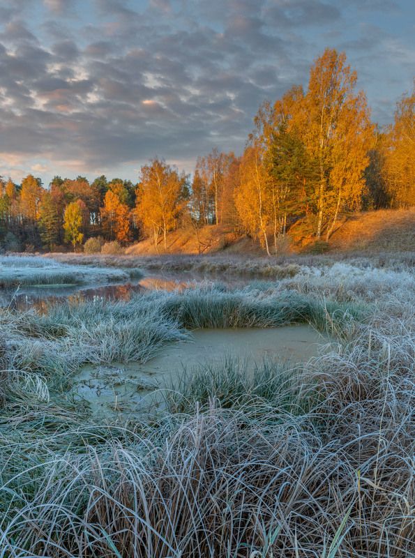 Морозное утро. фото превью