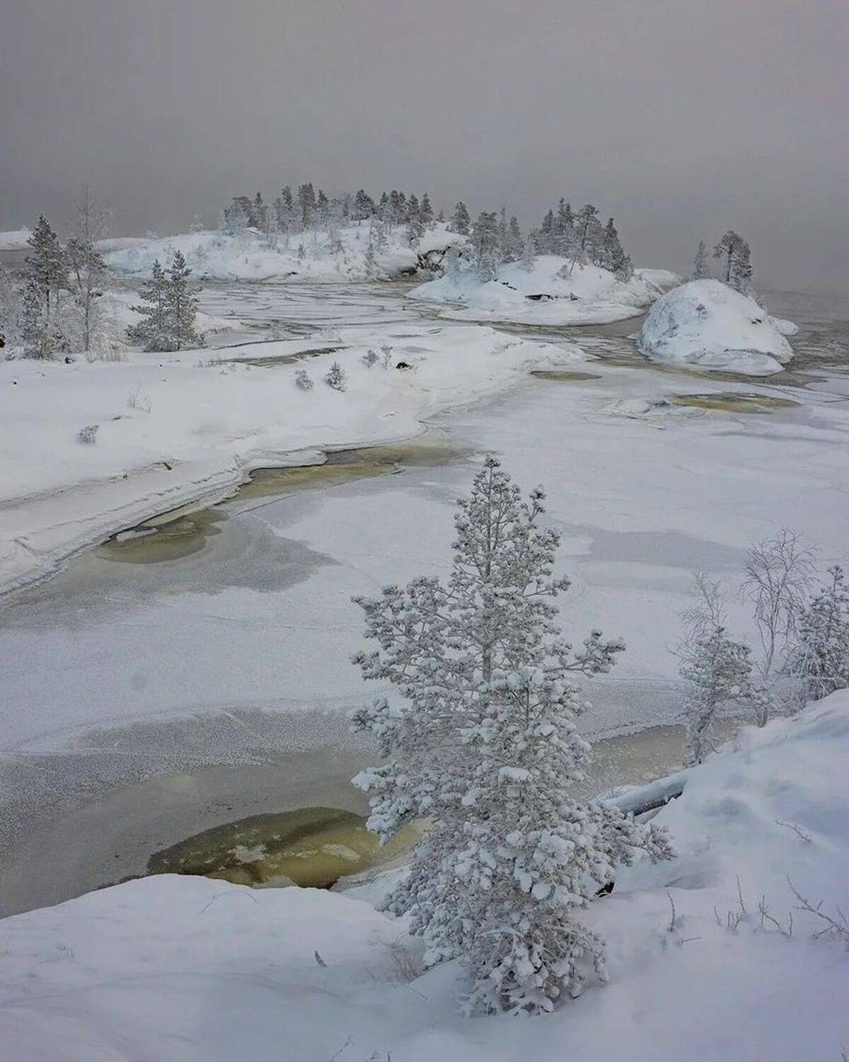 , Петр Косых