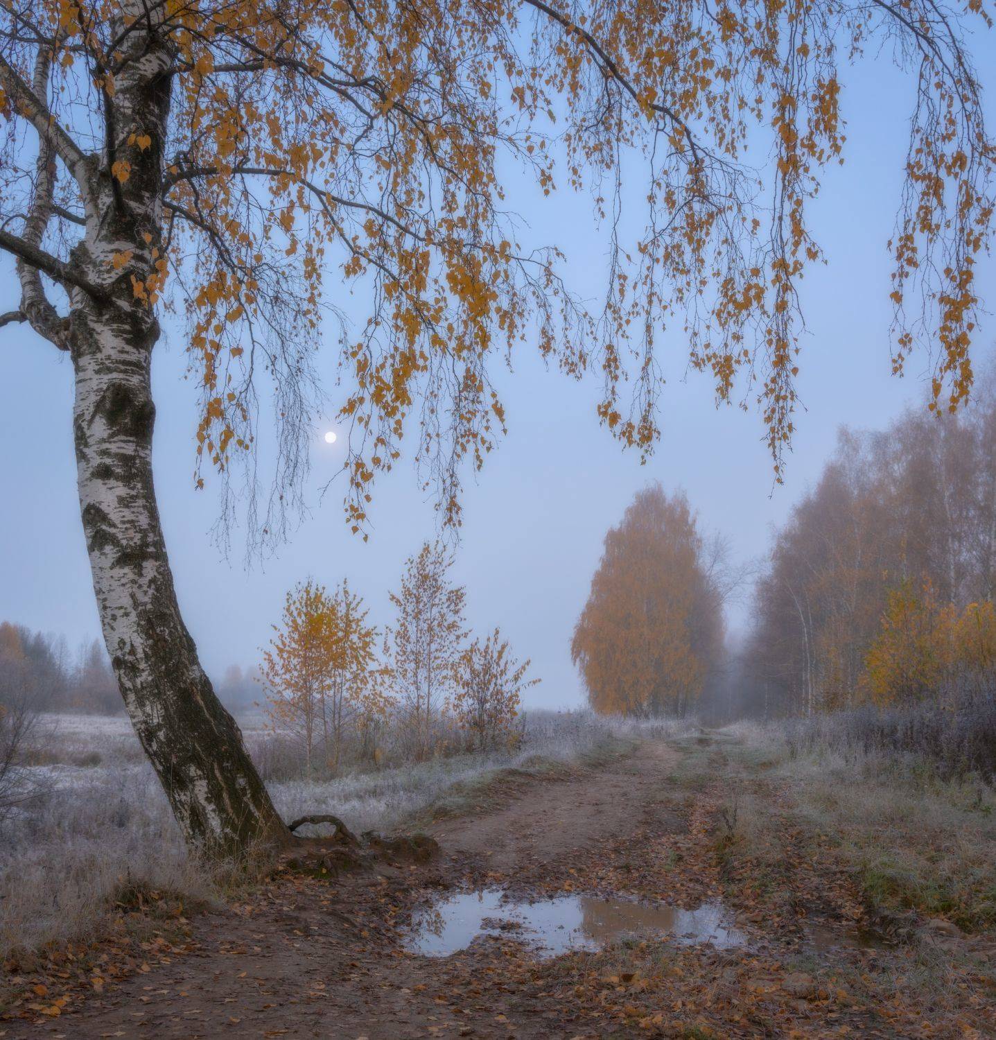 , Сергей Буторин