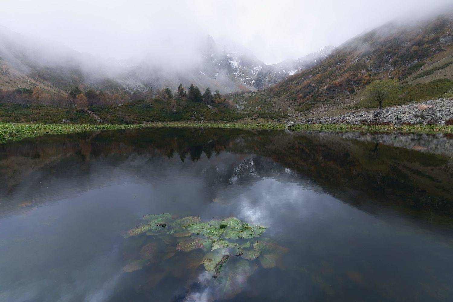 , Юлия Мальцева