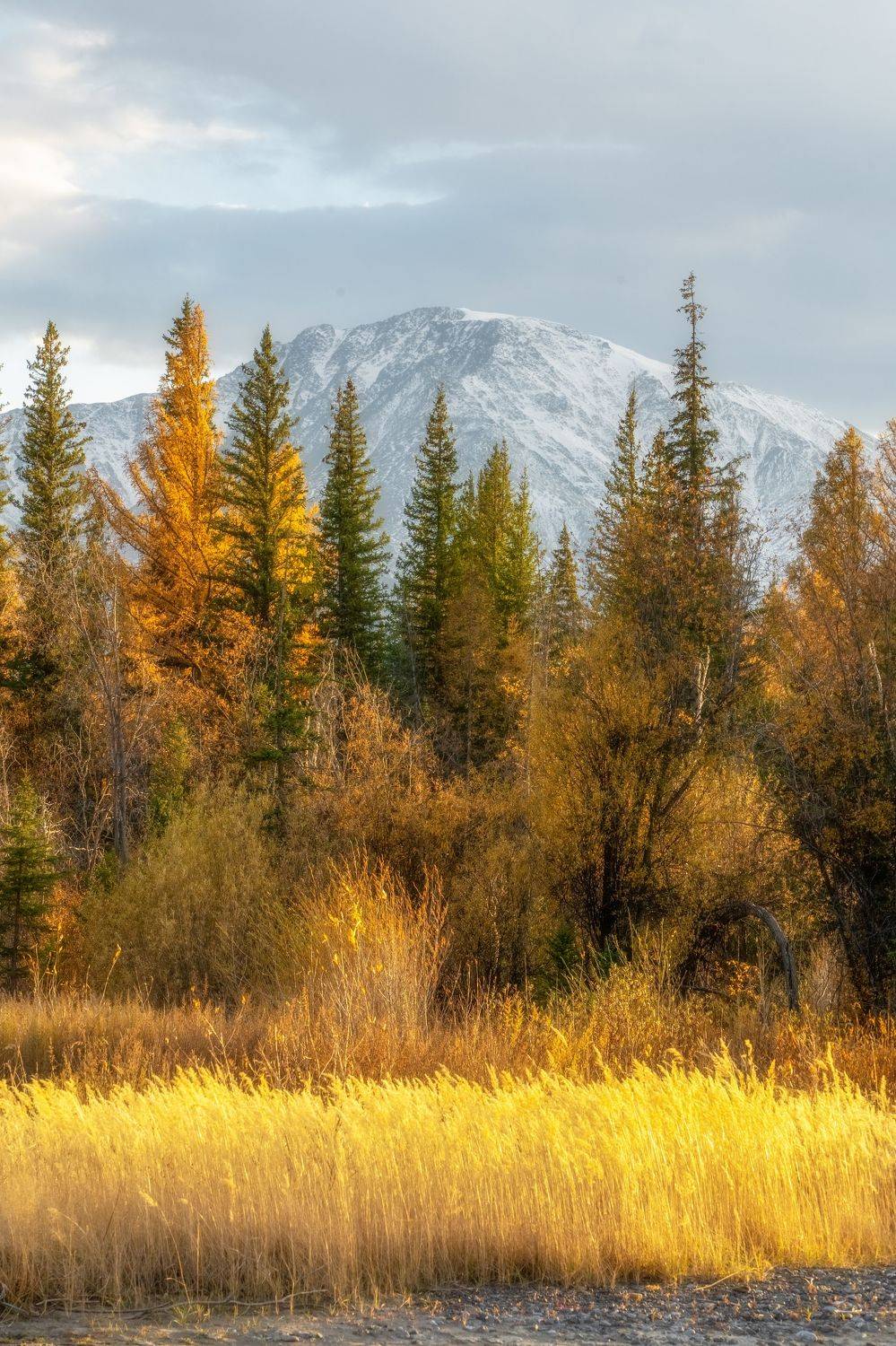 , Нигматуллин Руслан
