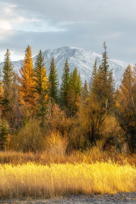 Лёд и пламя_2 фото превью