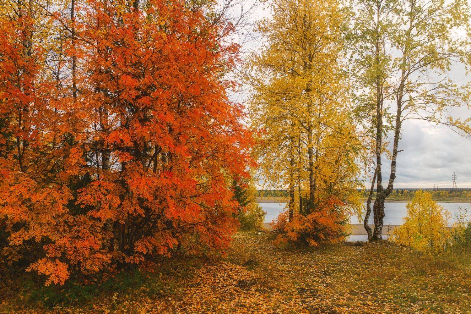 печора, коми, осень, Игорь Подобаев