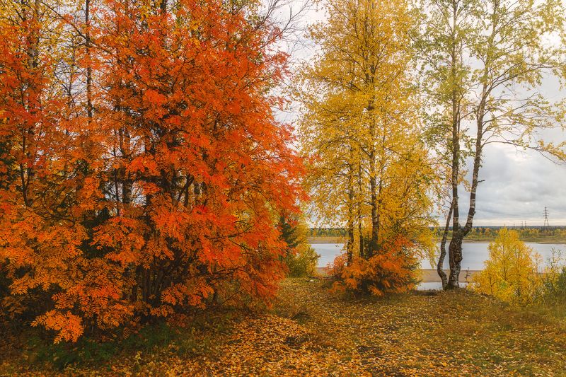 На берегу осенней Печоры фото превью