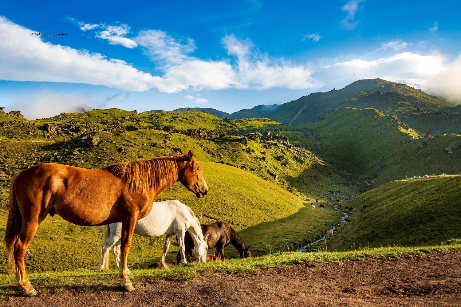 , Сергей Евдокимов