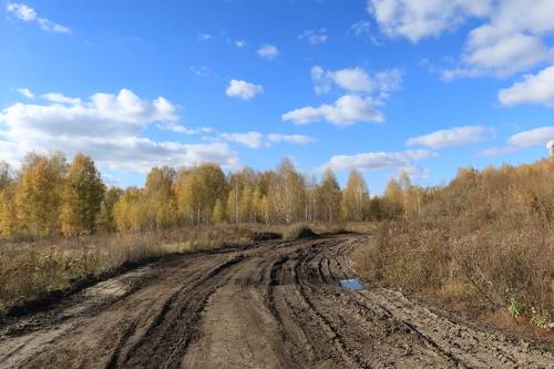 Дорога