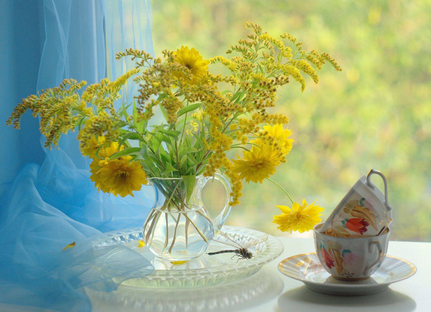 , Хохлова Наталья