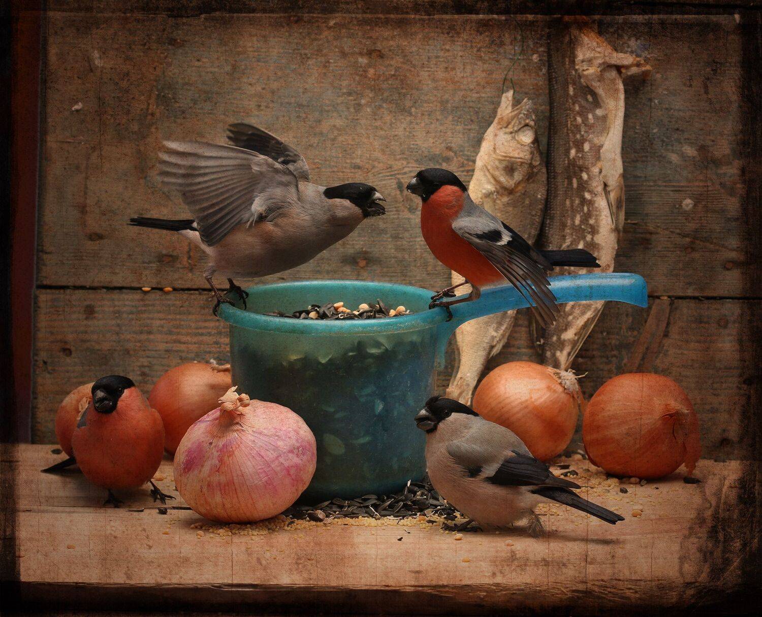 снегирь, Хромушин Олег