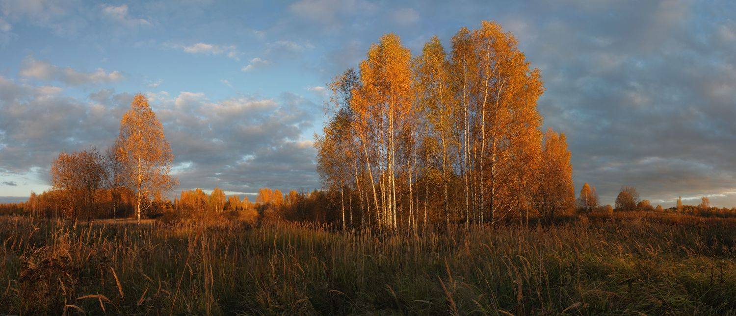 осень, Александр Свистков
