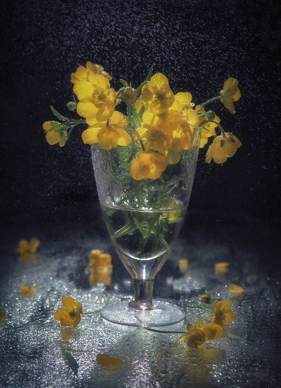 Жёлтенькие фото превью