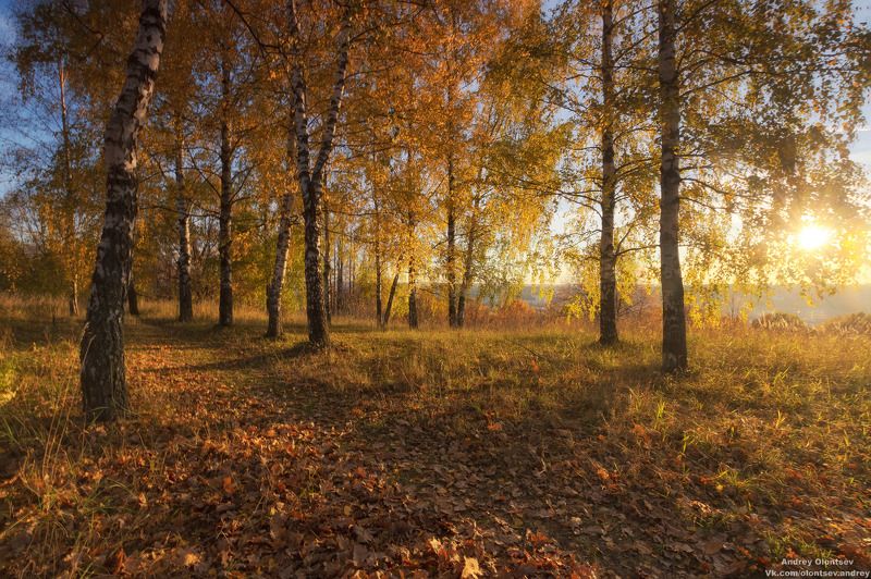 солнце, россия, рассвет, природа, подмосковье, погода, пейзажи, пейзаж, отражение, наукоград, красота, дубна, вода, весна, weather, water, spring, russia, reflection, naukograd, nature, moscow, landscape, dawn, canon, dubna, beauty *** фото превью