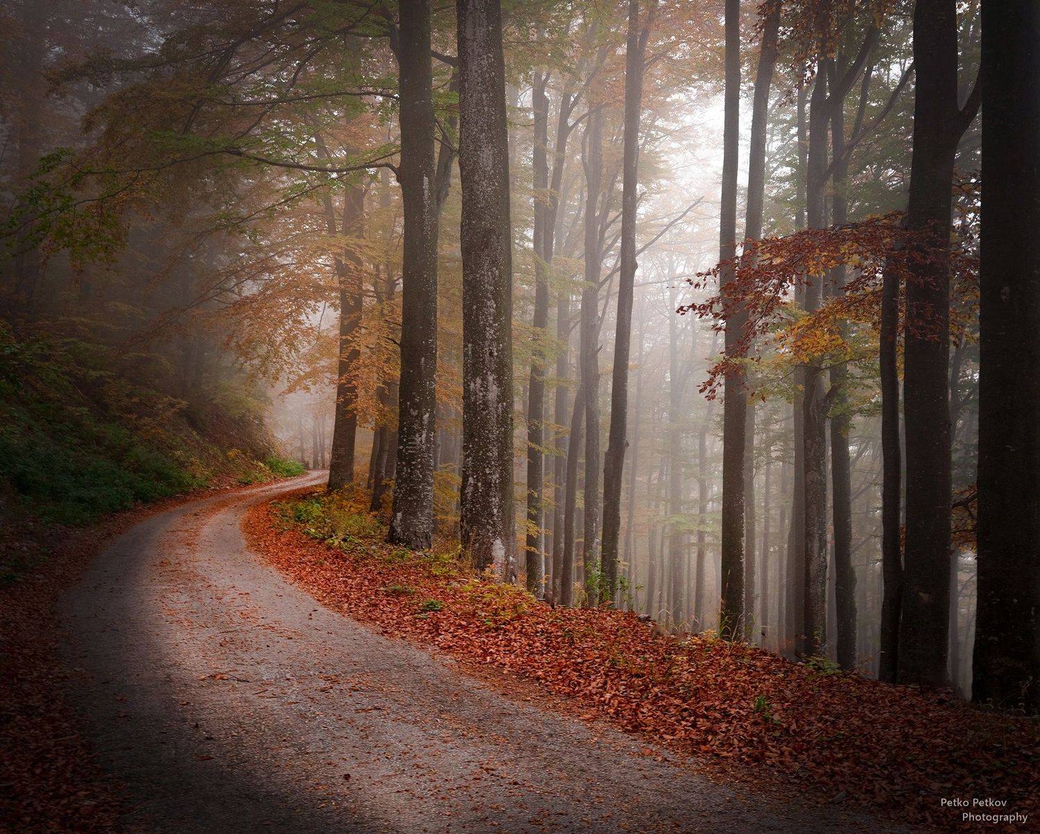 , Петко Петков