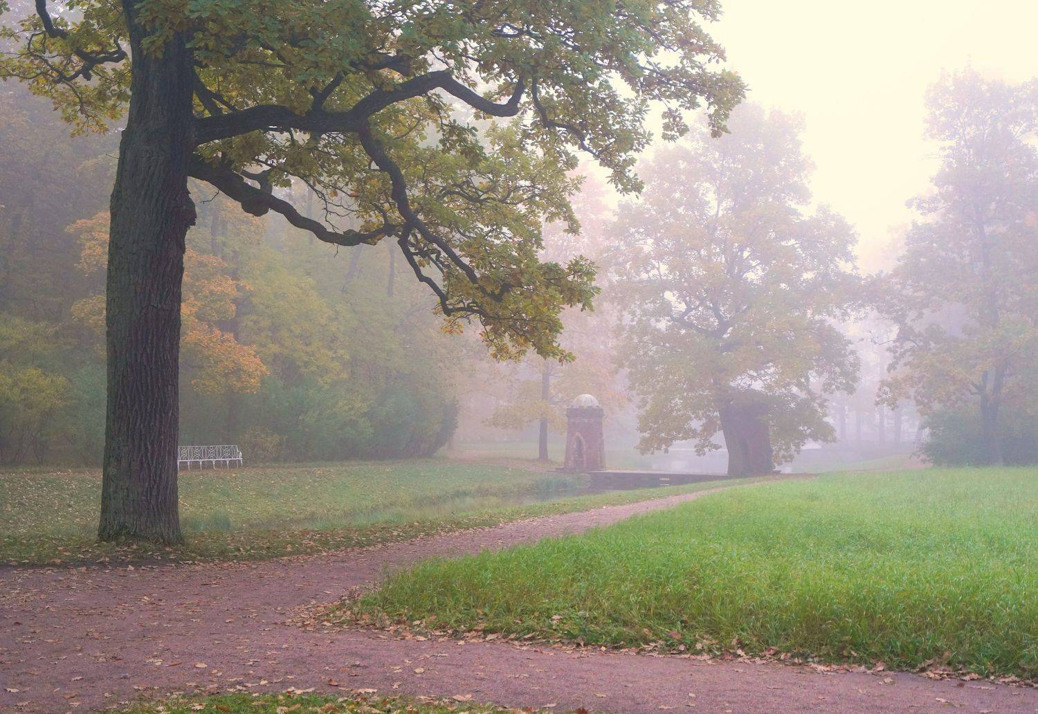 , Сергей Андреевич