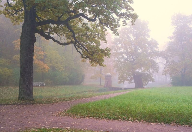 Morning in October фото превью