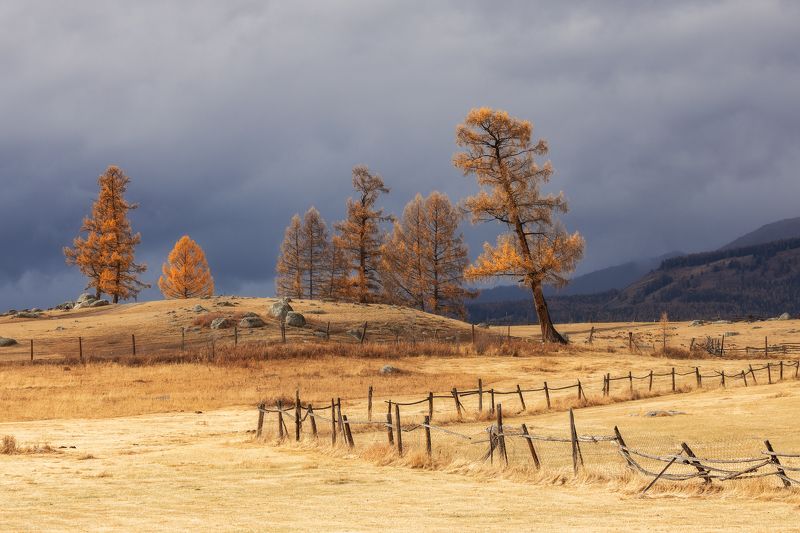 алтай За околицей фото превью